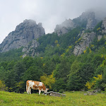 Photo n°3 de l'avis de Monica.a fait le 28/06/2020 à 09:54 sur le  Malga Cornetto à Valli del Pasubio