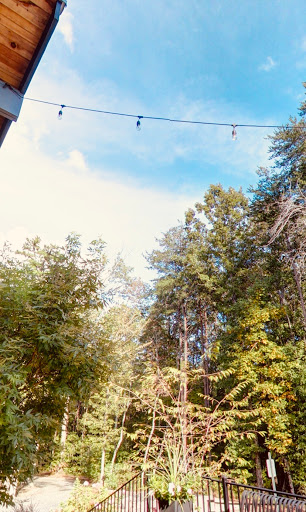 Wedding Venue «Juliette Chapel and Events», reviews and photos, 497 GA-52, Dahlonega, GA 30533, USA