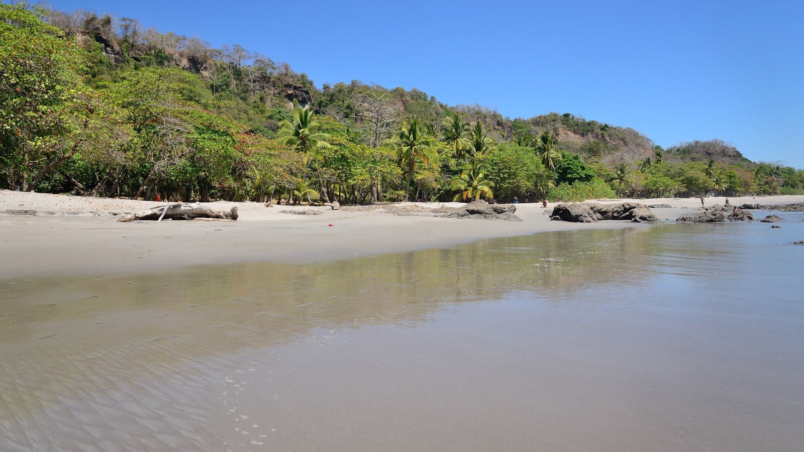 Foto de Playa Montezuma con agua cristalina superficie