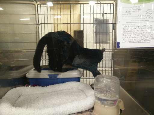 Pet Supply Store «PetSmart», reviews and photos, 6204 W Park Blvd, Plano, TX 75093, USA