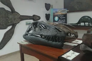 Museo de Mineralogia y Paleontologia image