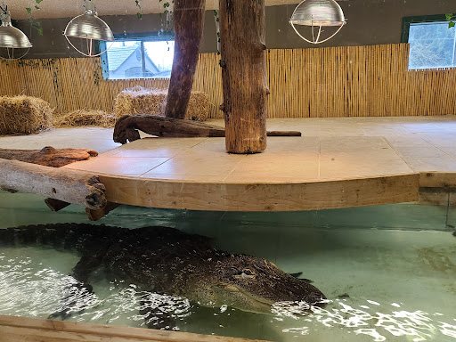 Zoo «Reptile Zoo», reviews and photos, 22715 US-2, Monroe, WA 98272, USA