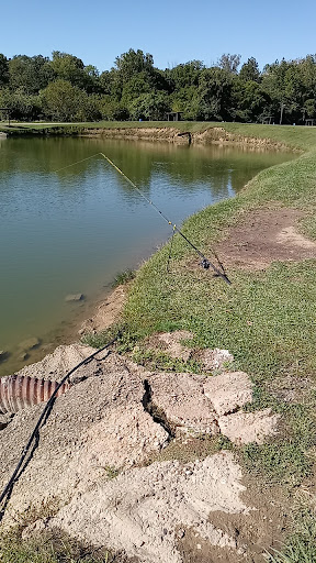 Fishing pond Dayton