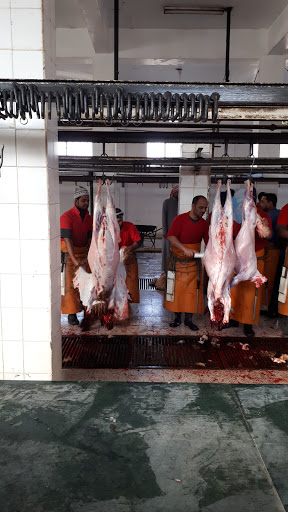 مسلخ حفرالباطن 