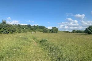Galley & Warden Hills Nature Reserve image