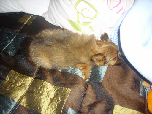 Department Store «Walmart Supercenter», reviews and photos, 200 Academy Dr, Ripley, WV 25271, USA