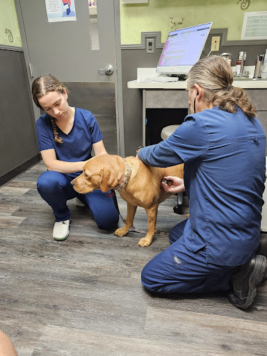 Hunt Valley Animal Hospital image