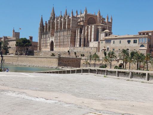 Lugares para ligar en Palma de Mallorca