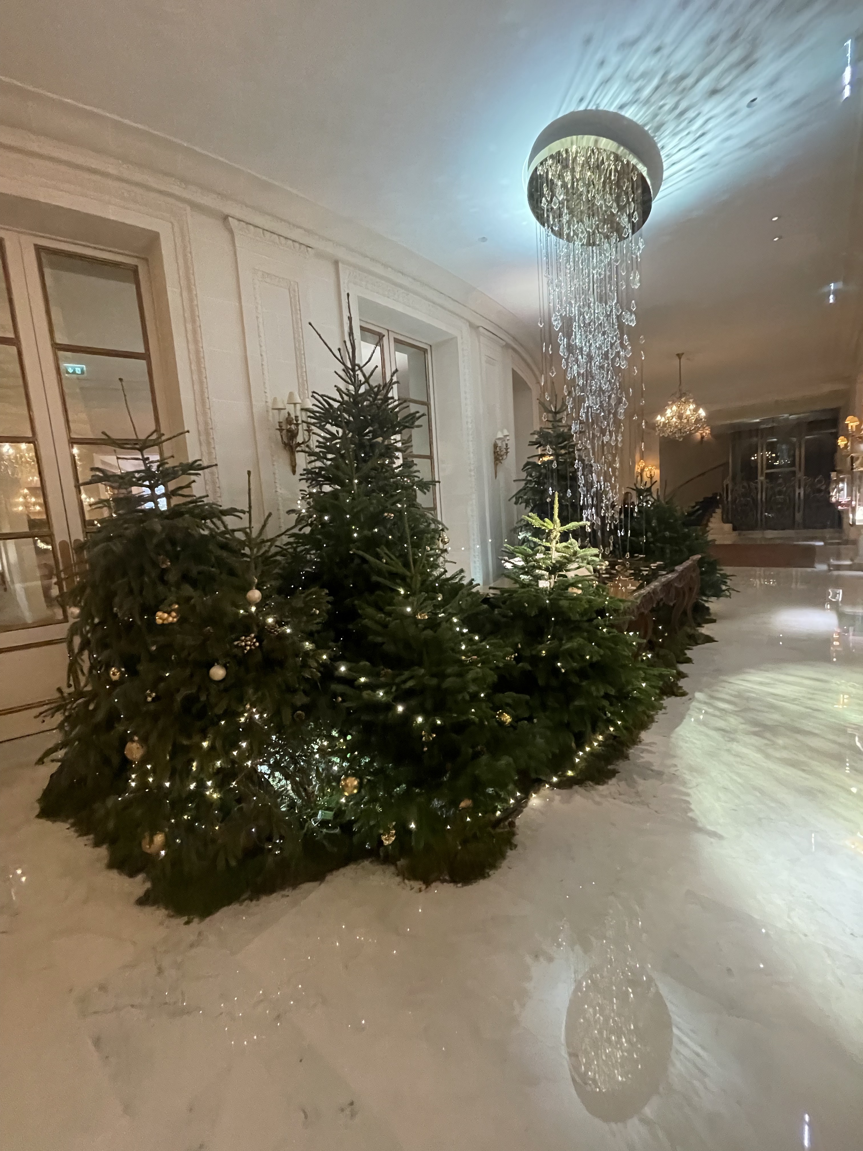 Photo n° 4 de l'avis de Berkan.r fait le 29/12/2022 à 23:57