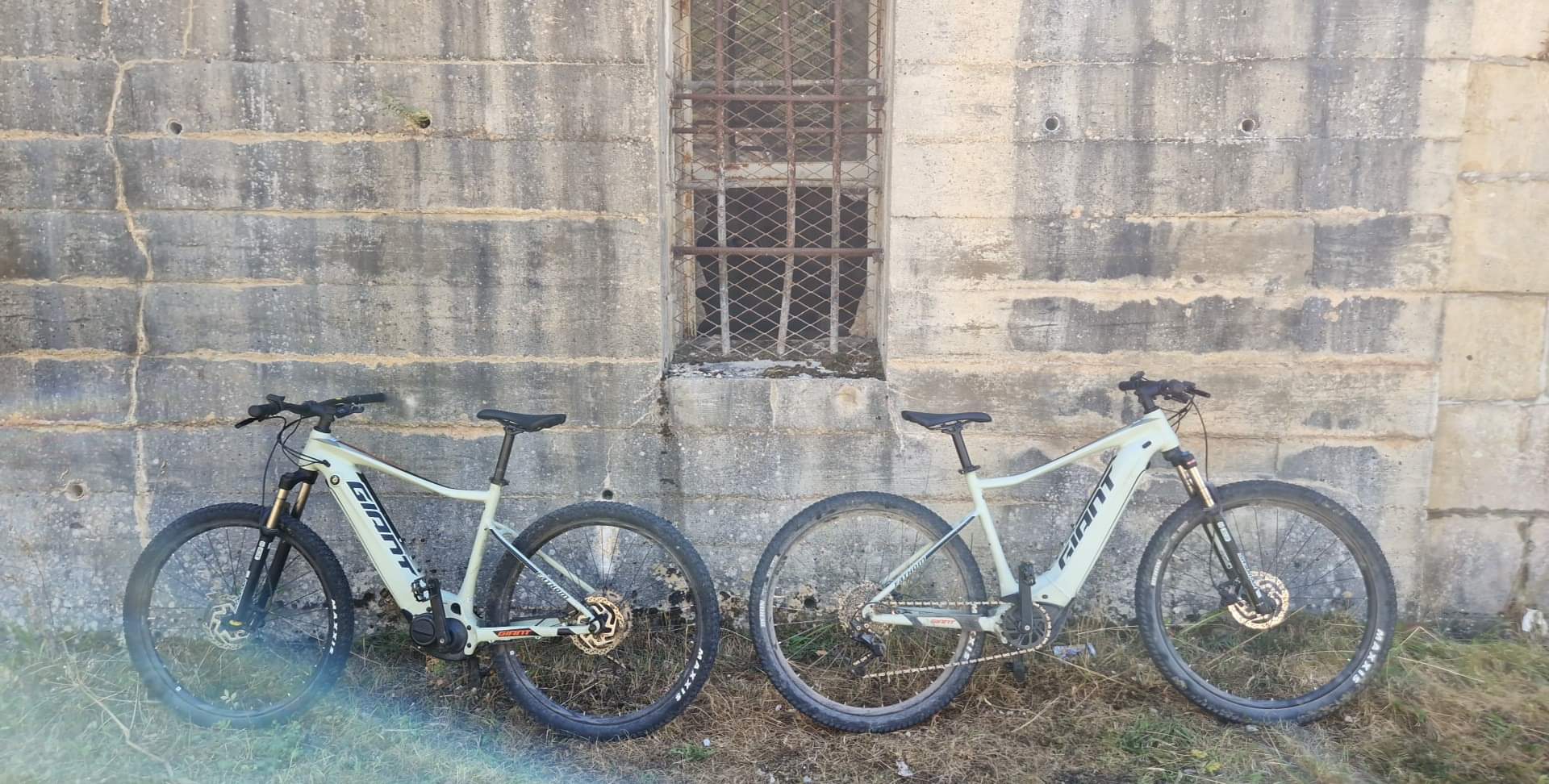 Photo n° 1 de l'avis de cestdav. fait le 17/08/2022 à 11:46