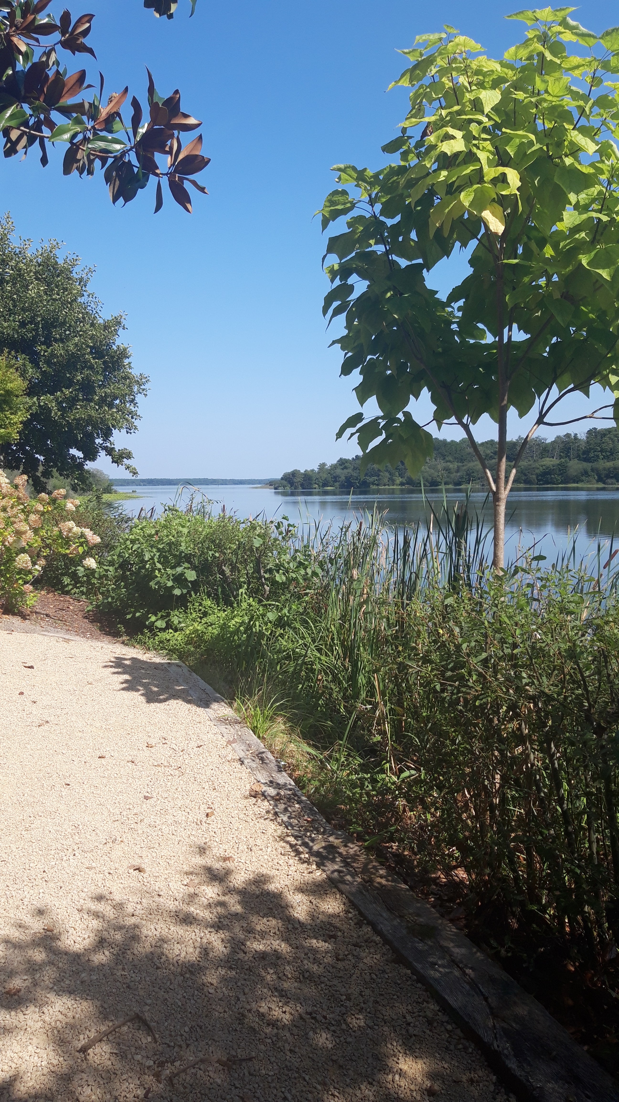 Photo n° 3 de l'avis de Marlène.b fait le 10/09/2023 à 17:39