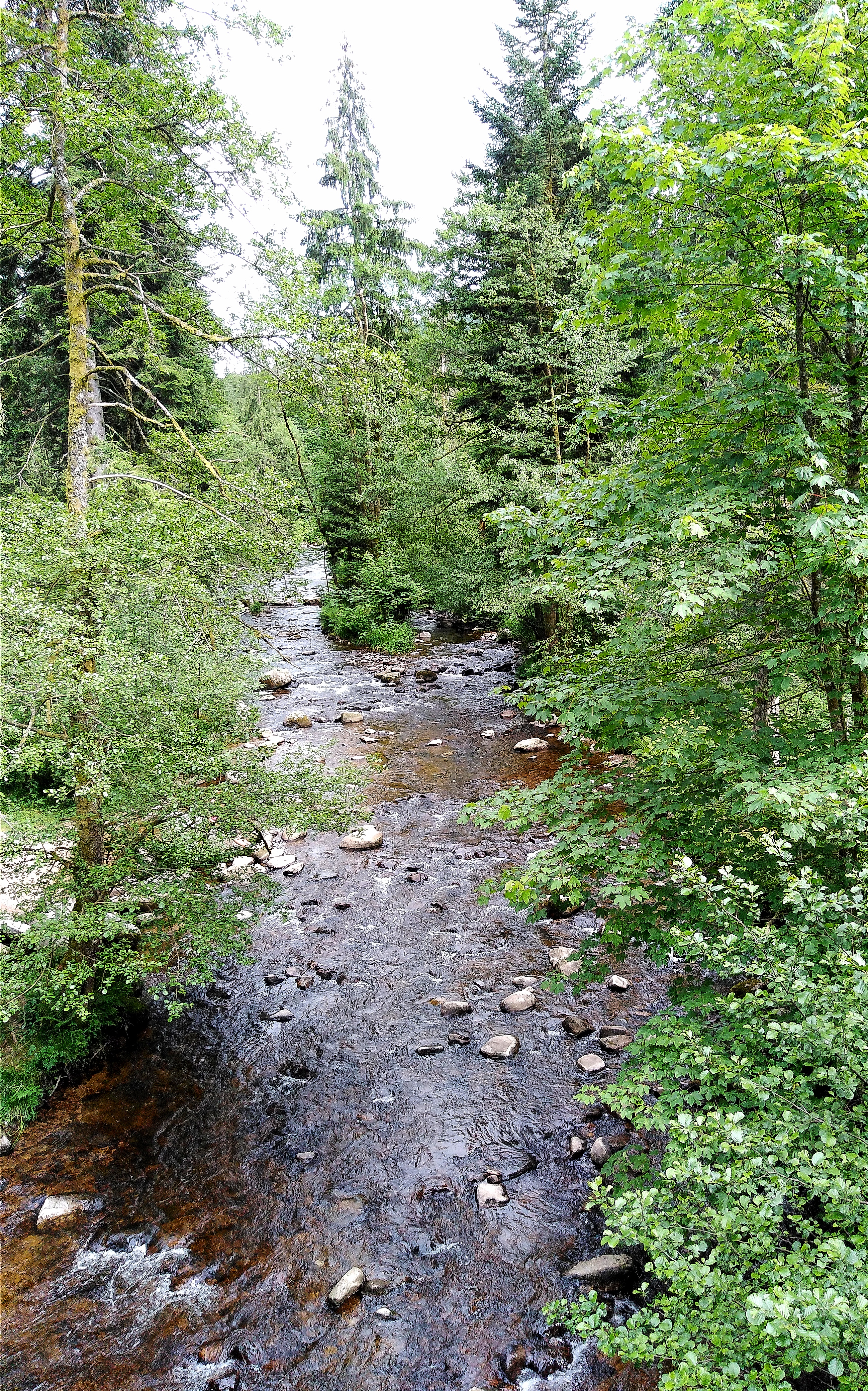 Photo n° 3 de l'avis de RETEUX.i fait le 31/01/2022 à 16:32