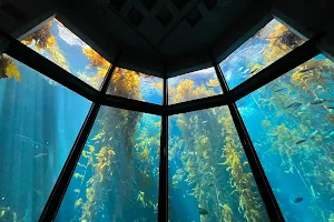 Monterey Bay Aquarium image