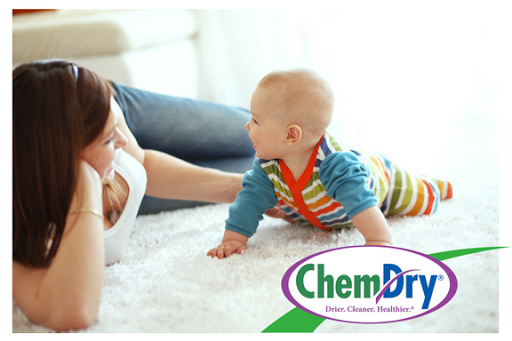Carpet Cleaning Service «Chem-Dry of Bloomington», reviews and photos, 1682 E Whisnand Rd, Bloomington, IN 47408, USA