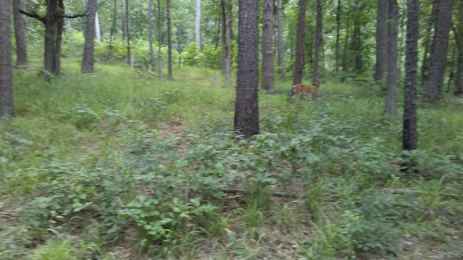 Truck Stop «Bunnys Truck Stop», reviews and photos, 638 E NE Loop 323, Tyler, TX 75706, USA