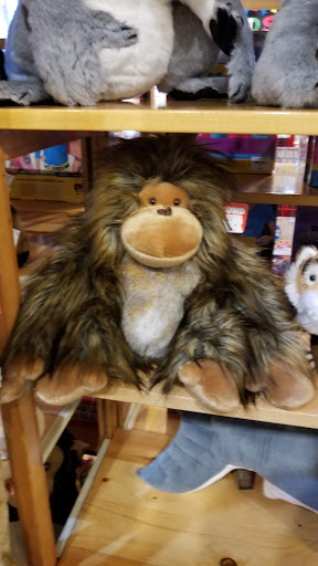 Toy Store «Toys & Candy On the Park», reviews and photos, 1271 Kingwood Dr, Kingwood, TX 77339, USA