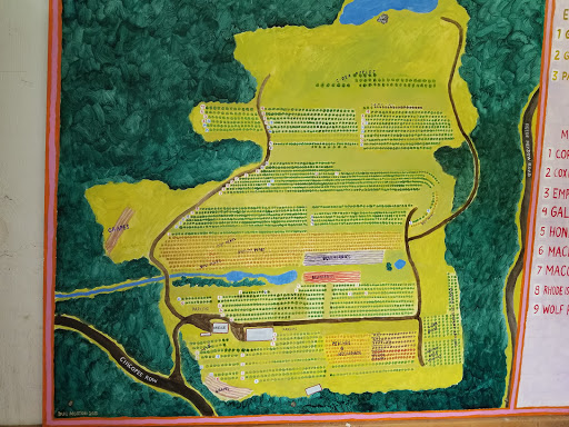 Orchard «Autumn Hills Orchard», reviews and photos, 495 Chicopee Row, Groton, MA 01450, USA