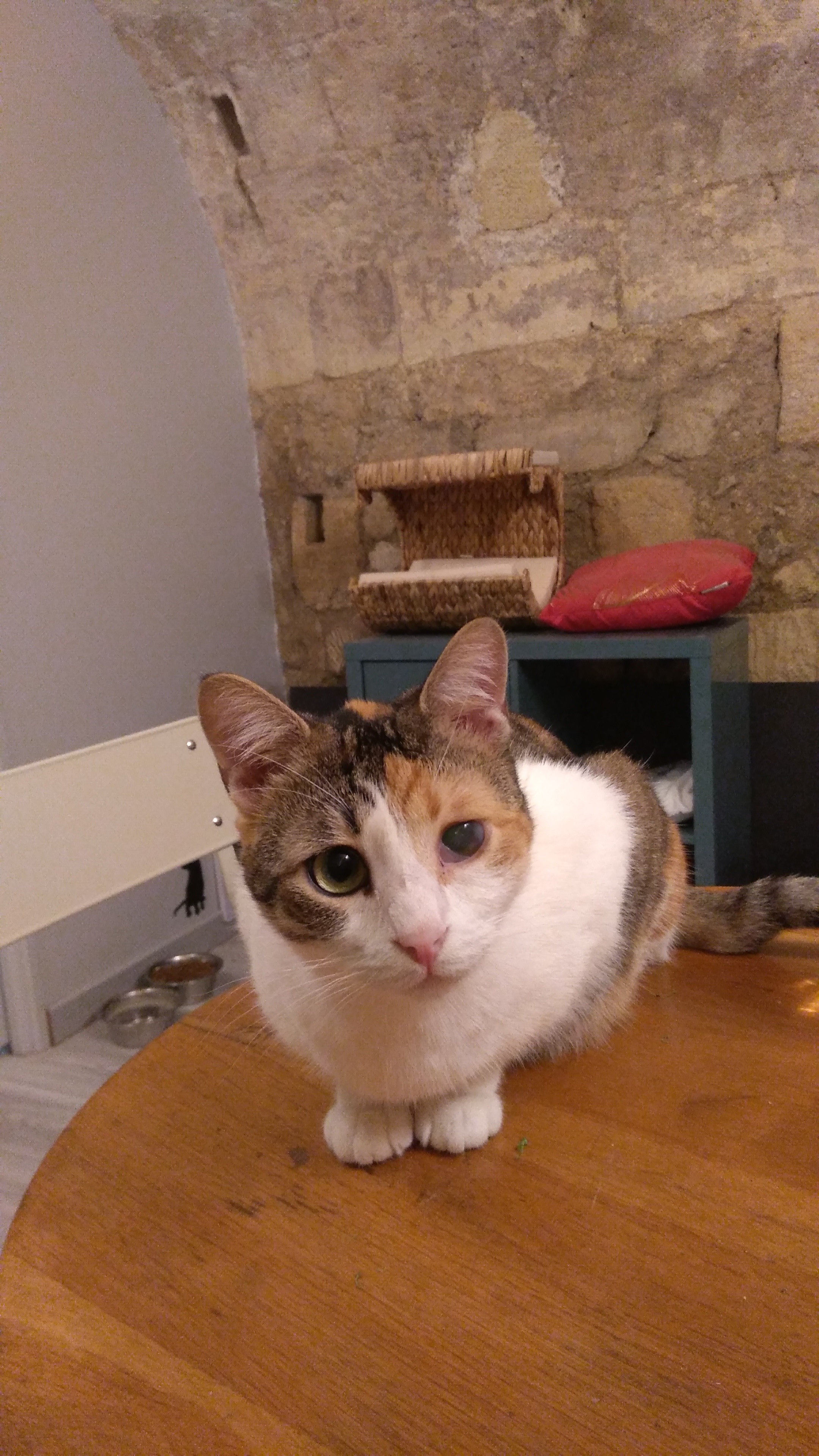 Photo n° 1 de l'avis de Elisabeth.A fait le 15/12/2022 à 13:16