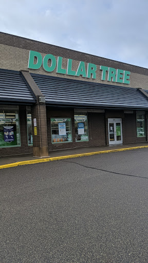 Dollar Store «Dollar Tree», reviews and photos, 2401 Fairview Ave N, Roseville, MN 55113, USA