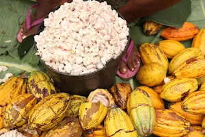 Claudio Corallo - Cacao & Caffe São Tomé e Príncipe image
