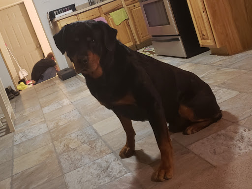 Pet Supply Store «Pet Supplies Plus», reviews and photos, 4121 Buffalo Rd, Erie, PA 16510, USA