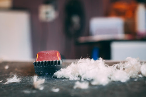 Pet Groomer «Pet-icure Pet Grooming & Supplies», reviews and photos, 89 Main St, Pepperell, MA 01463, USA