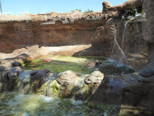 Zoo «Animal World & Snake Farm Zoo», reviews and photos, 5640 Interstate 35 Frontage Rd, New Braunfels, TX 78132, USA