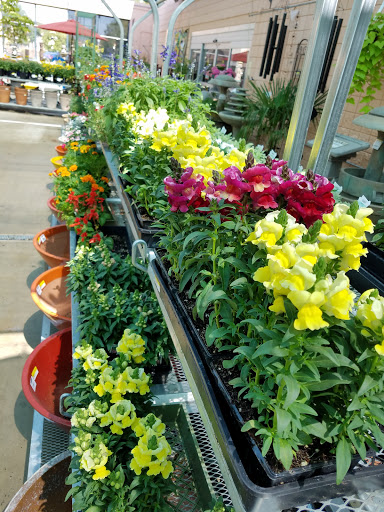 Home Improvement Store «Grange Co-op», reviews and photos, 1262 Stabler Ln, Yuba City, CA 95993, USA