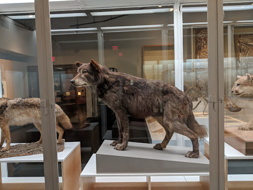 University «Yale University», reviews and photos