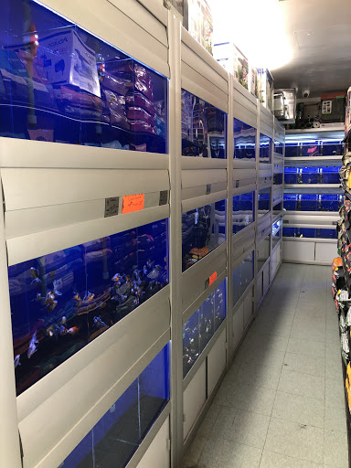 Pet Store «El Granero Pet Shop», reviews and photos, 15700 Atlantic Ave, Compton, CA 90221, USA