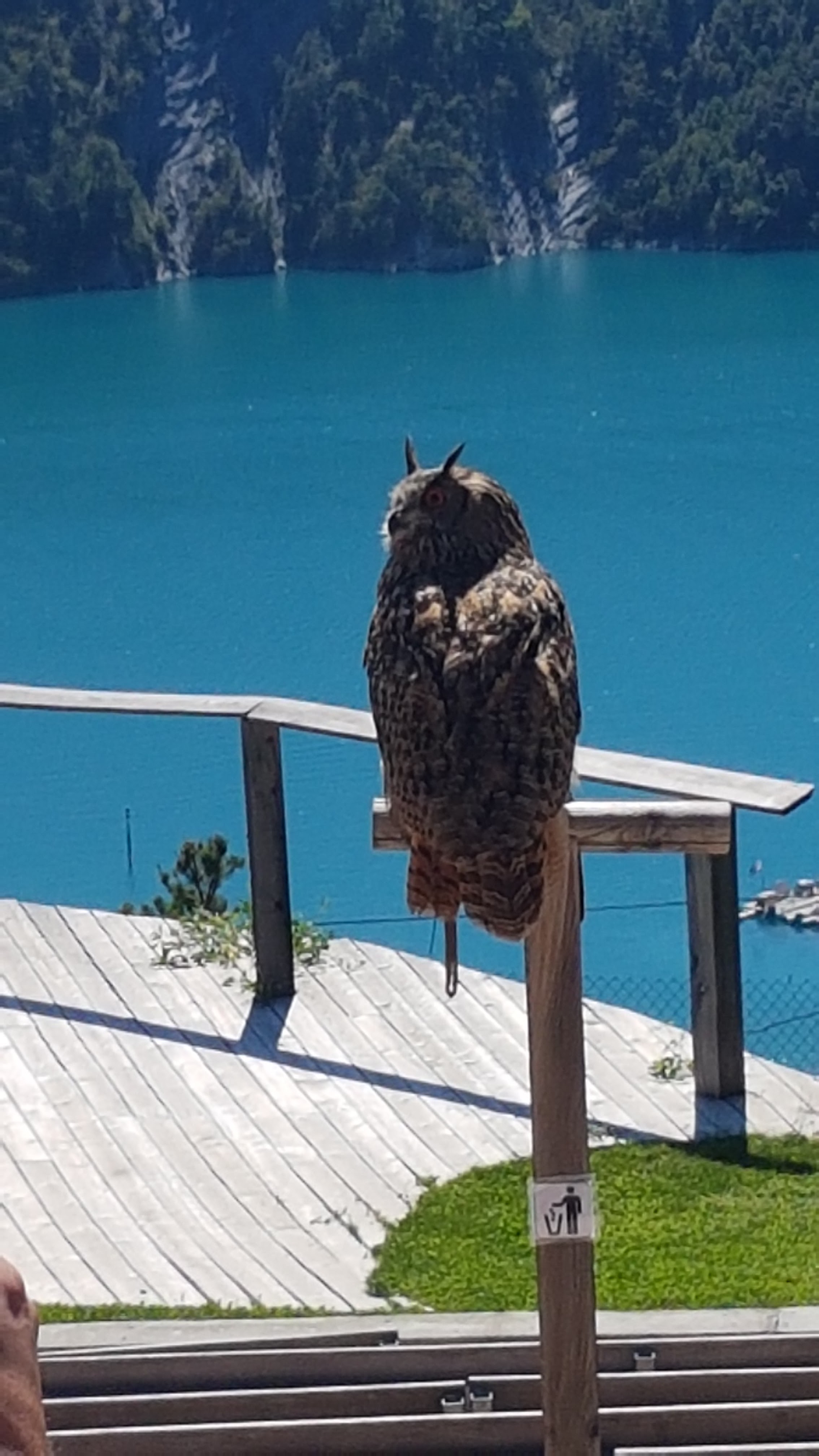 Photo n° 2 de l'avis de Isabelle.e fait le 08/09/2020 à 13:23