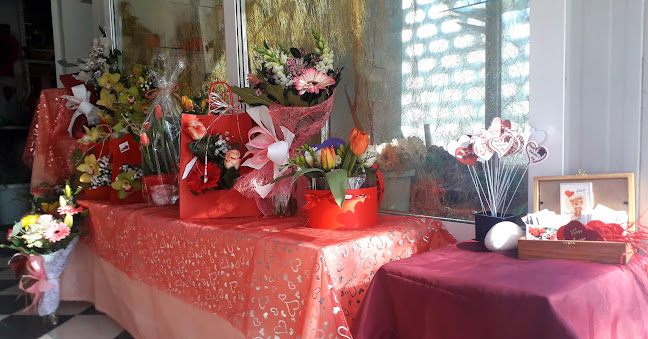 Avaliações doFlorista Amora Flor em Seixal - Floricultura