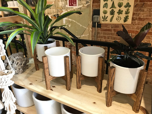 Gift Shop «Moss - Iowa City», reviews and photos, 112 E Washington St, Iowa City, IA 52240, USA