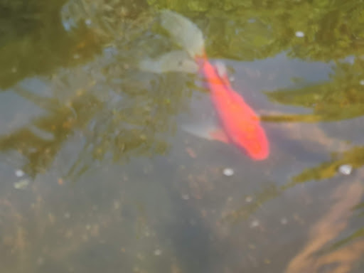 Art Museum «Villa Terrace Decorative Arts Museum», reviews and photos, 2220 N Terrace Ave, Milwaukee, WI 53202, USA