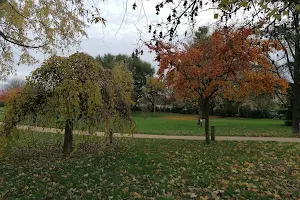 Parc de l'Arboretum image