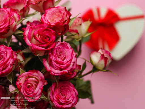 Florist «Caruso Florist», reviews and photos, 1717 M St NW, Washington, DC 20036, USA