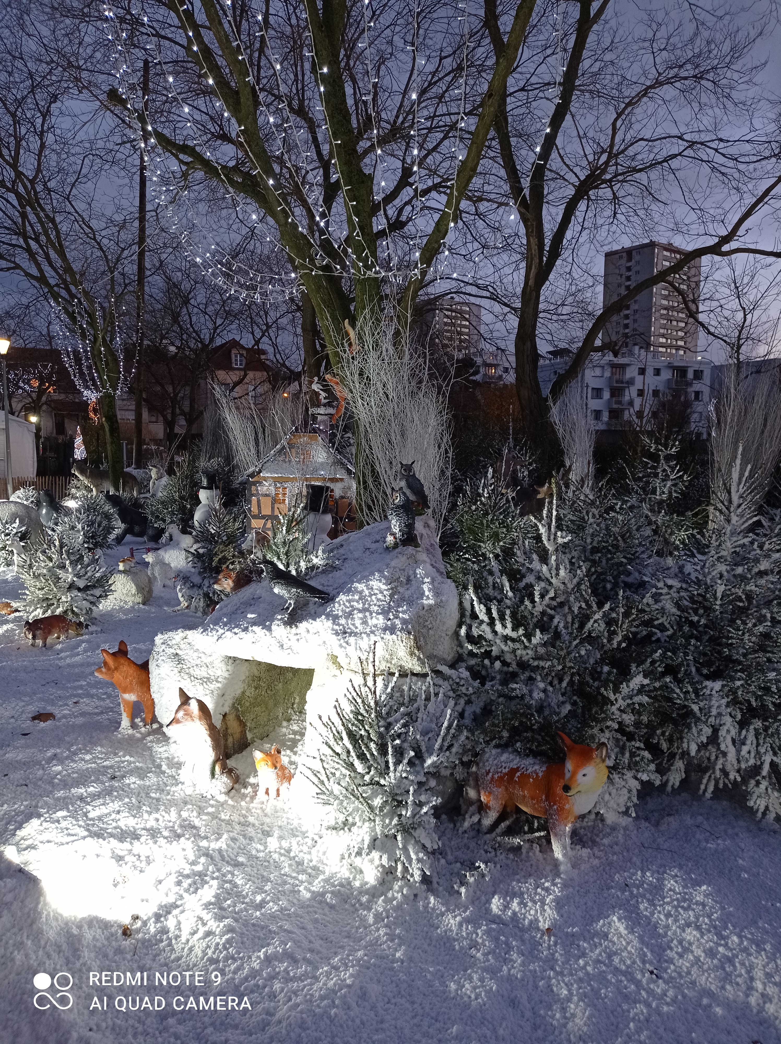 Photo n° 3 de l'avis de SYLVAINE.A fait le 04/12/2021 à 18:04