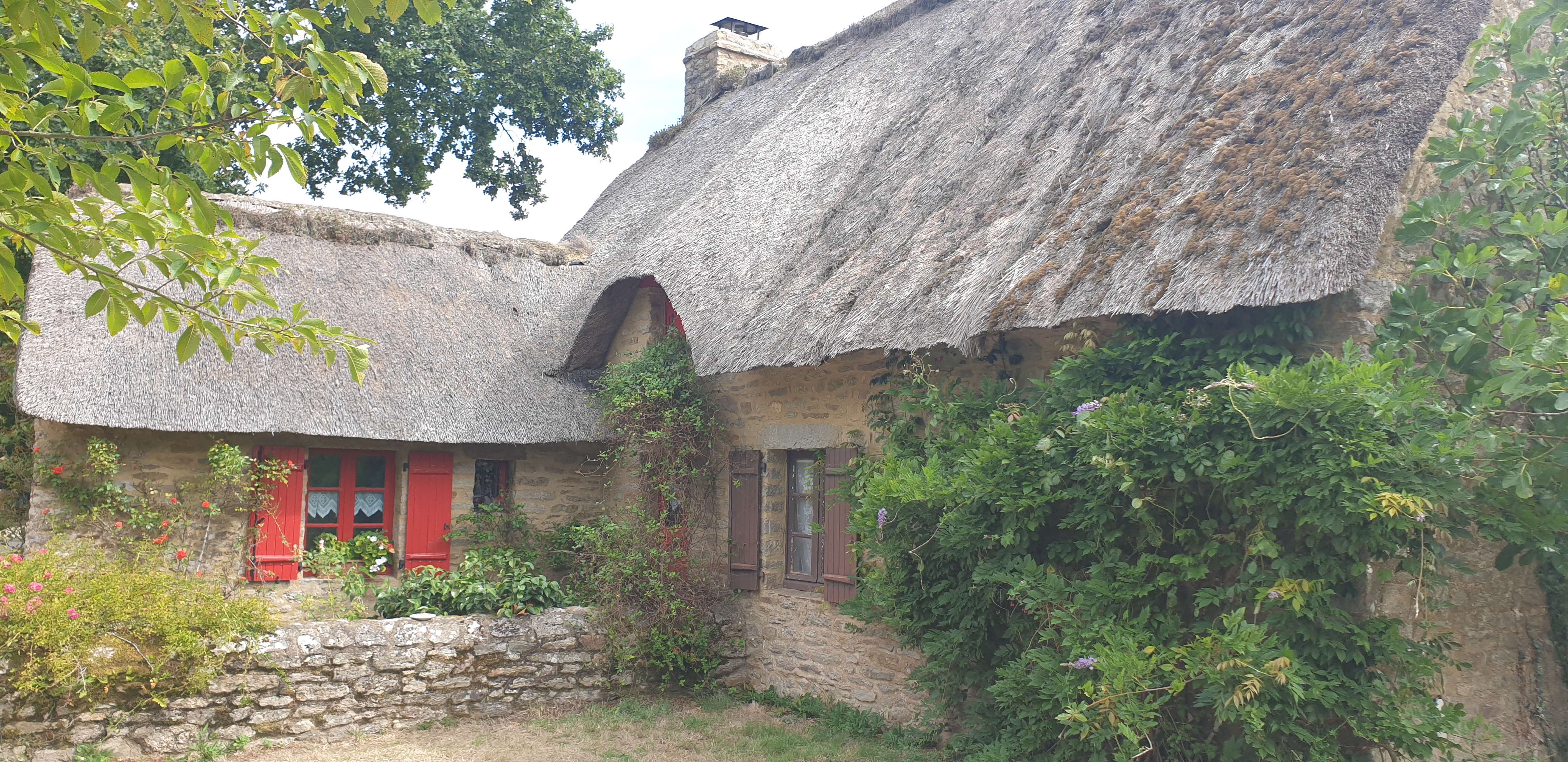 Photo n° 3 de l'avis de m.h fait le 28/08/2020 à 15:07