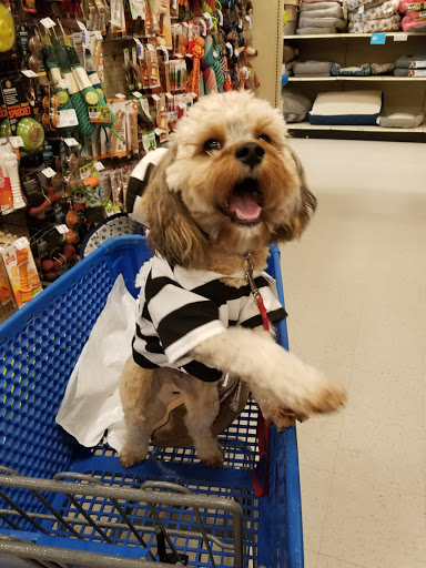Pet Supply Store «PetSmart», reviews and photos, 11331 Causeway Blvd, Brandon, FL 33511, USA