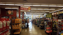 Pet Food Express - Photo 1 - Car repair in Pasadena, CA, Pasadena