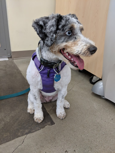 Pet Supply Store «Petco Animal Supplies», reviews and photos, 3100 14th St NW #124, Washington, DC 20010, USA