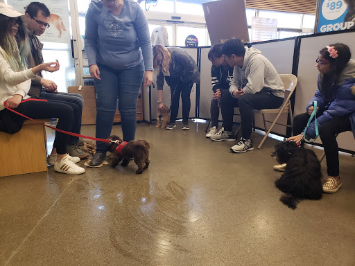 Pet Supply Store «Petco Animal Supplies», reviews and photos, 7215 170th Ave NE #115, Redmond, WA 98052, USA