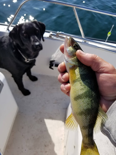 Young's Bait & Party Store