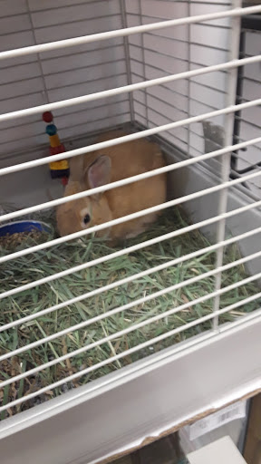 Pet Supply Store «Classic Pet Supply II», reviews and photos, 3180 Gratiot Blvd, Marysville, MI 48040, USA