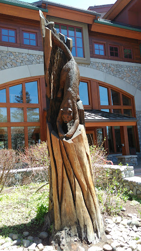 Pacific Crest Gallery image
