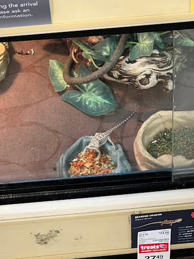 Pet Supply Store «PetSmart», reviews and photos, 2135 NJ-38 Ste B, Cherry Hill, NJ 08002, USA