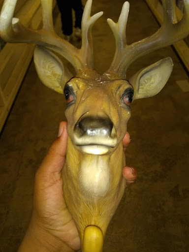 Home Goods Store «At Home», reviews and photos, 3900 Troup Hwy, Tyler, TX 75703, USA