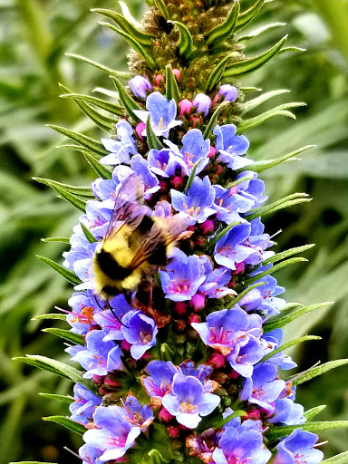 Golf Course «Del Monte Golf Course», reviews and photos, 1300 Sylvan Rd, Monterey, CA 93940, USA