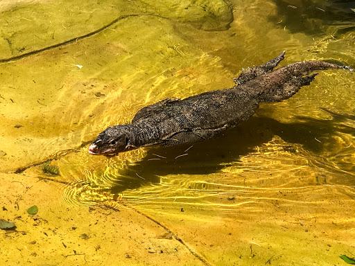 Zoo «Heritage Park Zoological Sanctuary», reviews and photos, 1403 Heritage Park Rd, Prescott, AZ 86301, USA