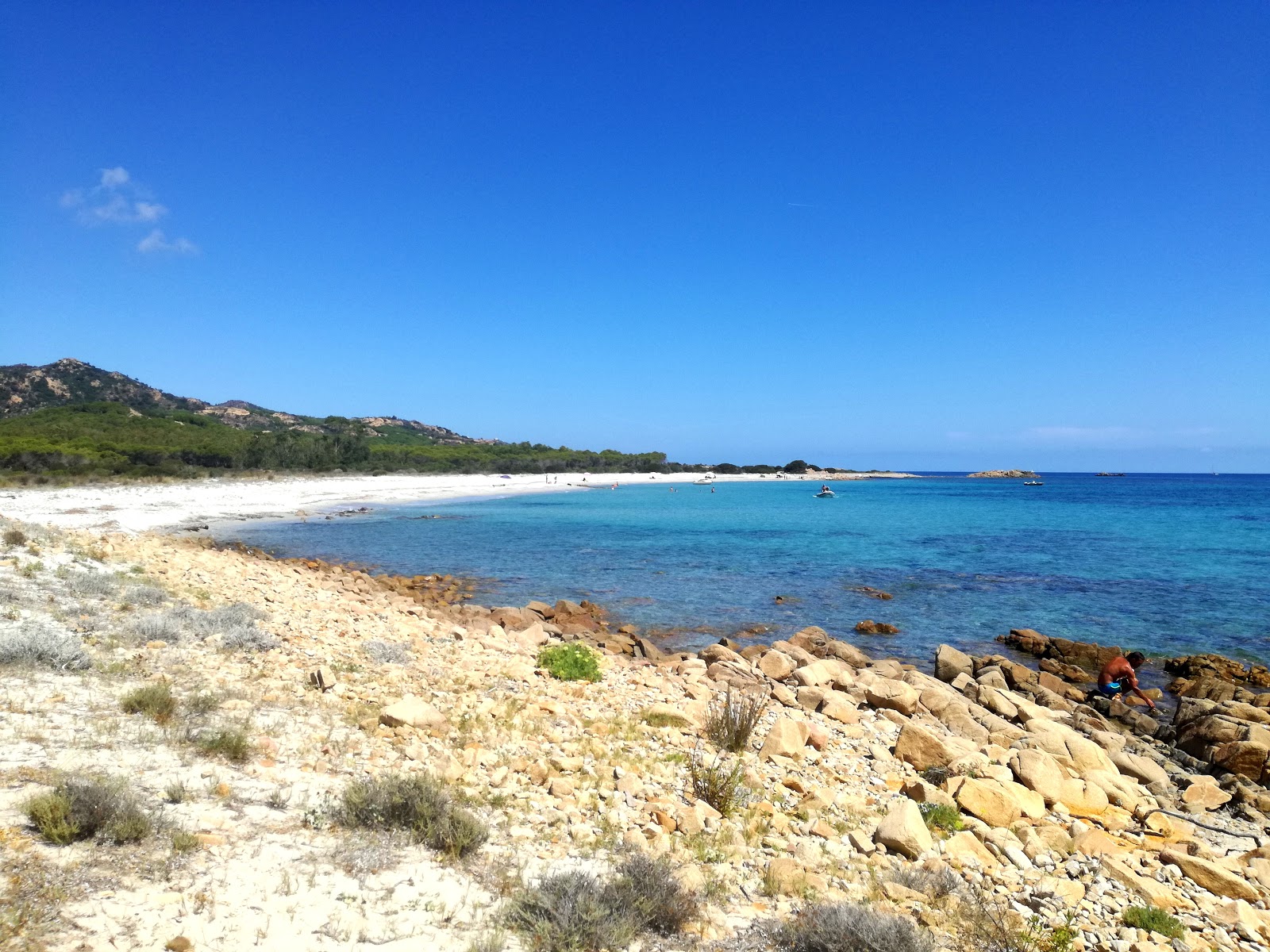 Spiaggia Cannazzellu的照片 野外区域